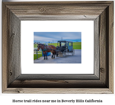 horse trail rides near me in Beverly Hills, California